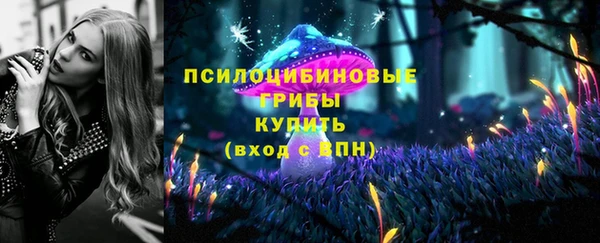 гашик Алзамай